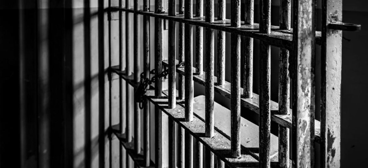 Julian Assange Trial