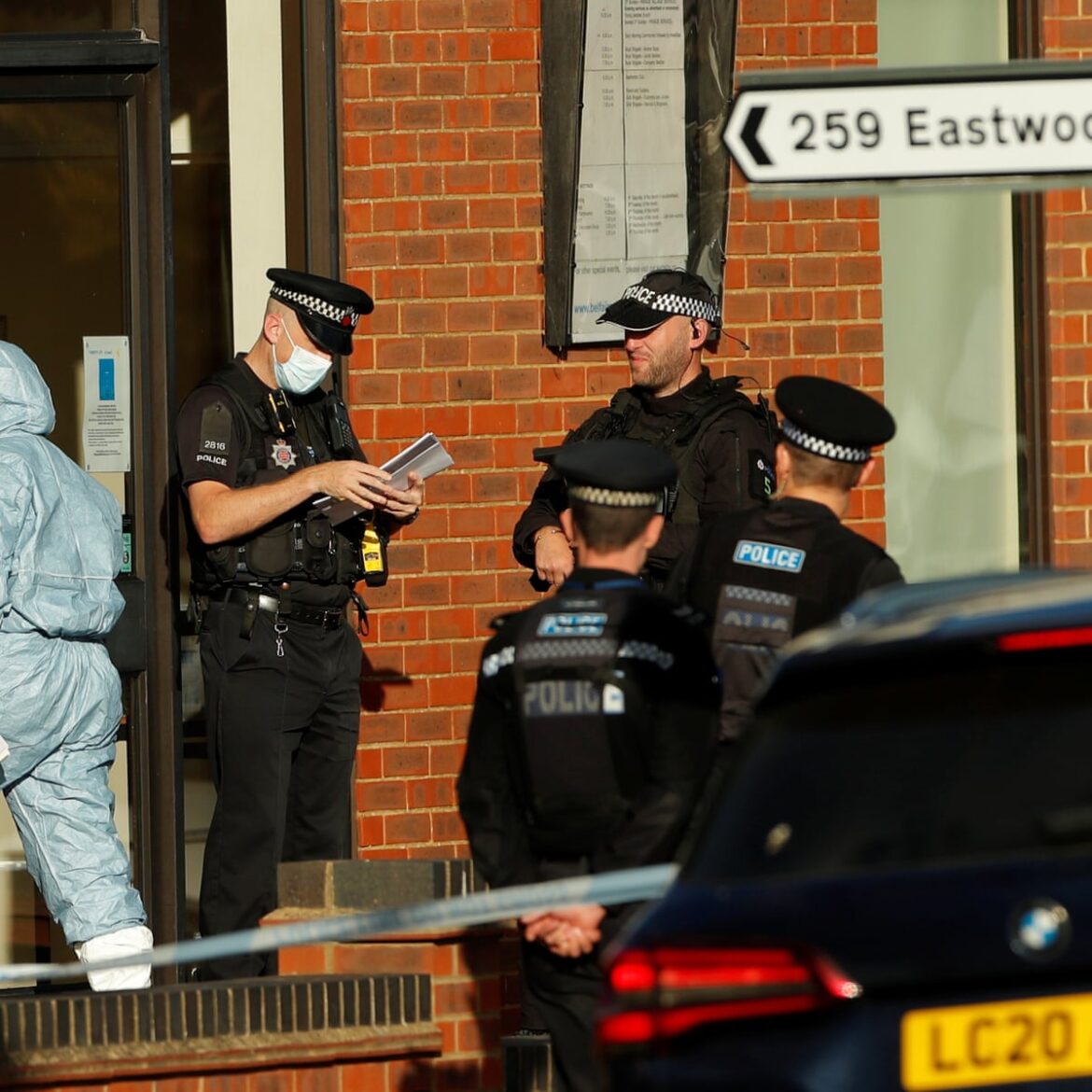 THE MURDER OF TORY MP, DAVID AMESS