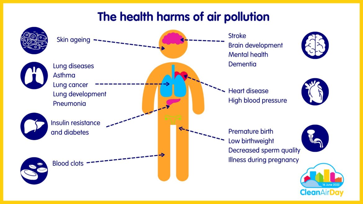 How pollution affects air quality and health